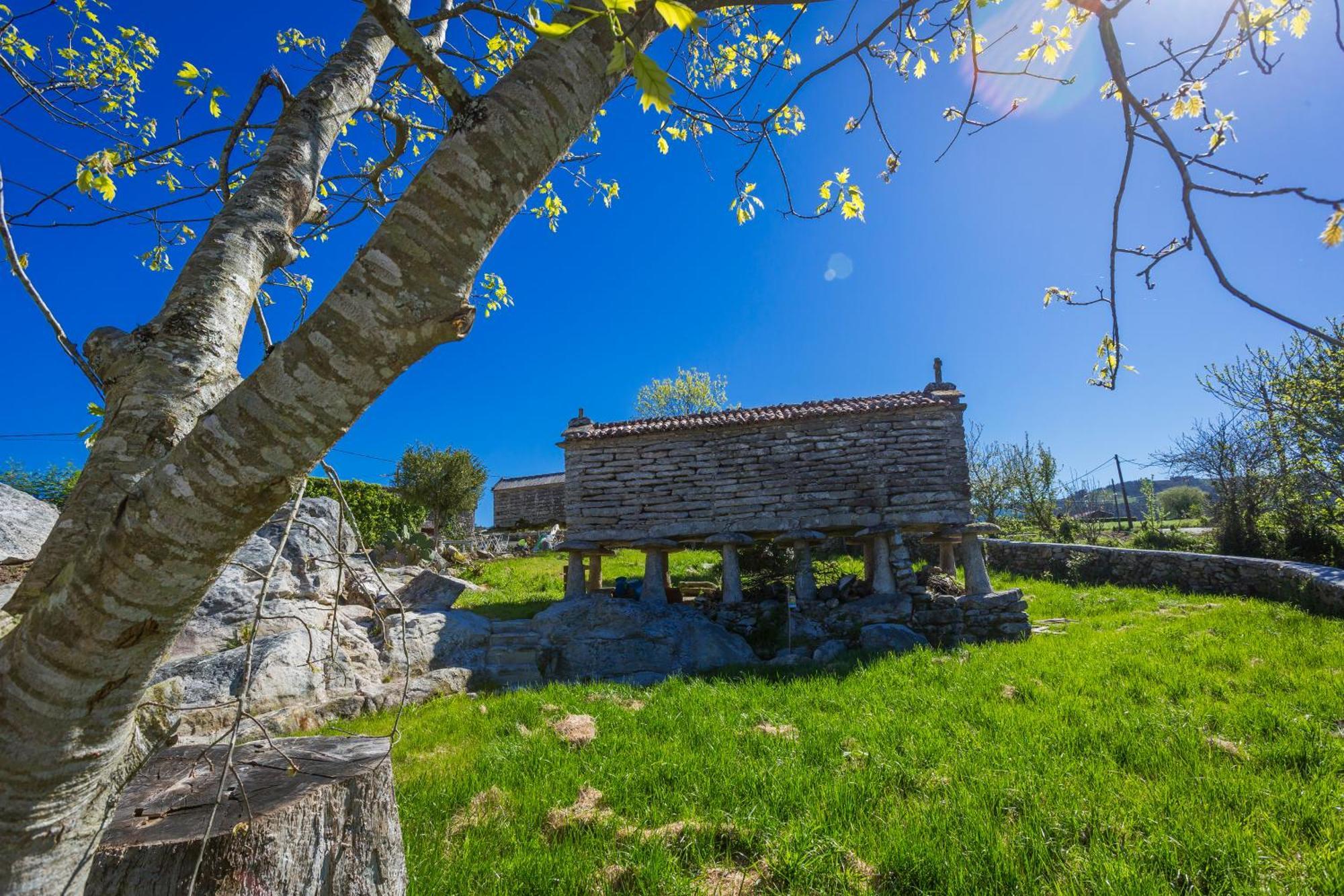 Casa Lela Dumbria ξενώνας Εξωτερικό φωτογραφία